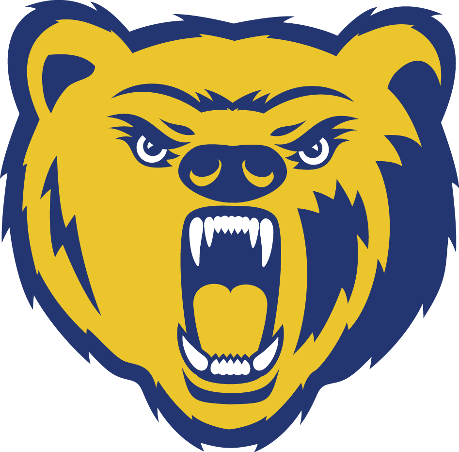 Northern Colorado Bears 2004-2009 Secondary Logo iron on transfers for clothing